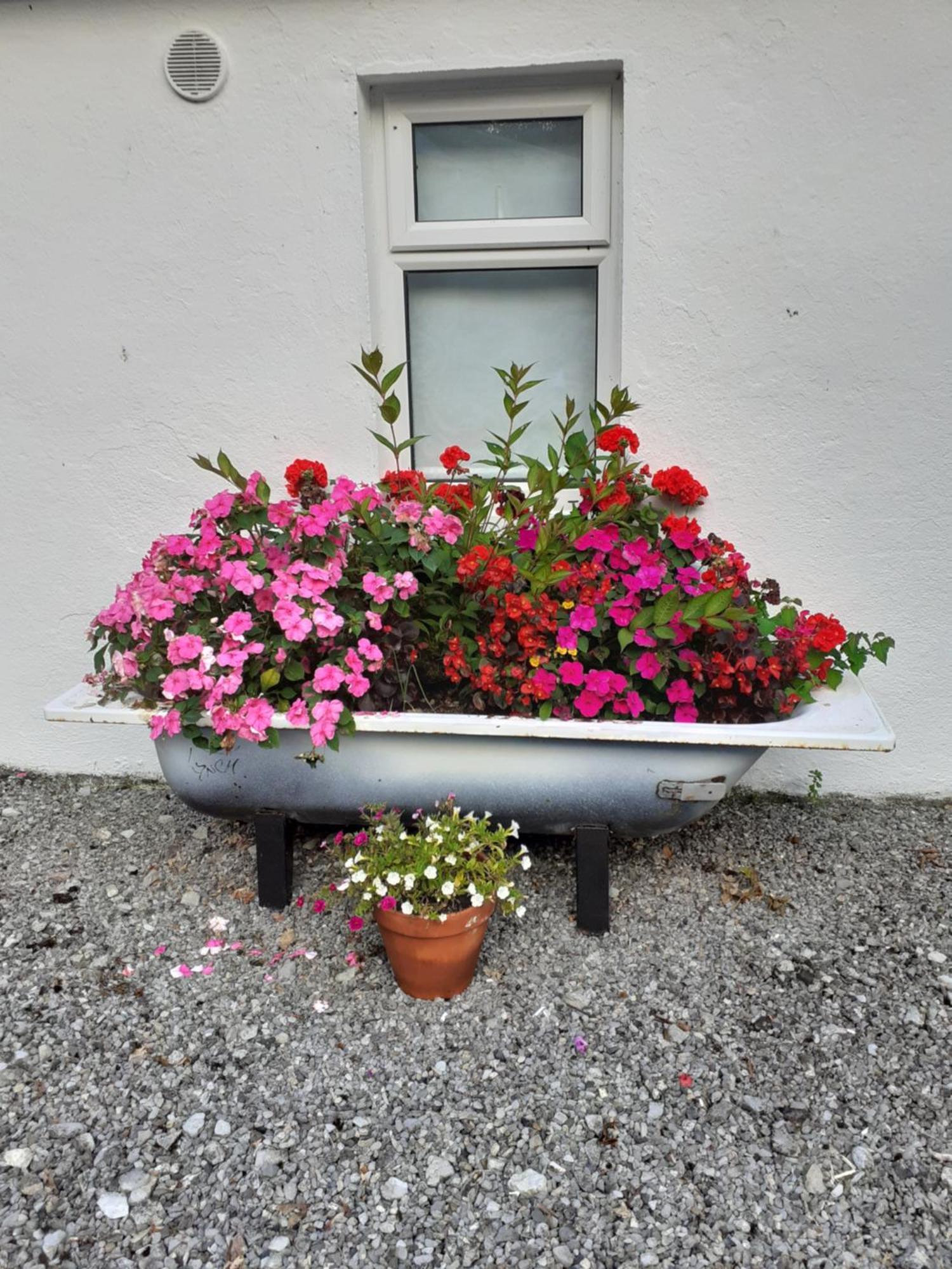 Cummins Cottages Ballycrossaun Екстер'єр фото